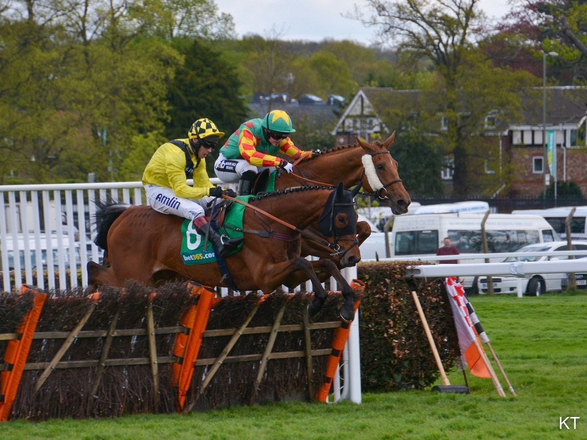 Horse Racing Headgear Explained Bet4bettor Betting Advice