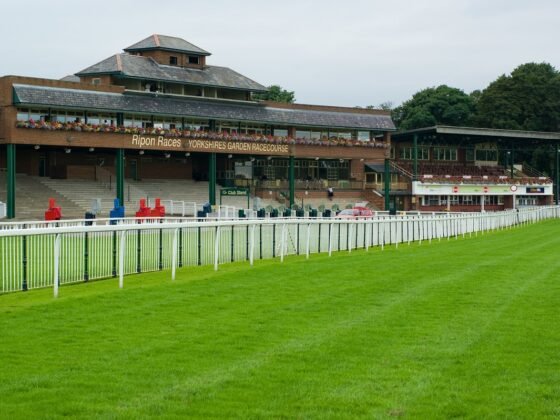 How Does The Racecourse Going Impact A Horses Chance Of Winning?