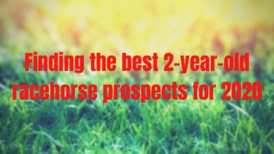 Finding the best 2-year-old racehorse prospects for 2020