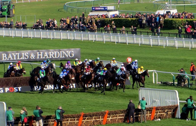 BetVictor Gold Cup preview