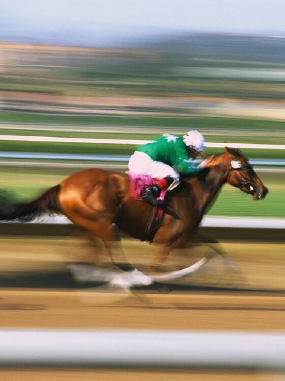 How fast do racehorses run