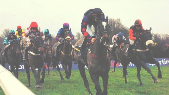King George VI Chase Kempton on Boxing Day
