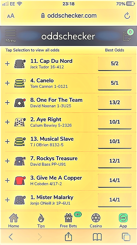 Doncaster Sky Bet Chase